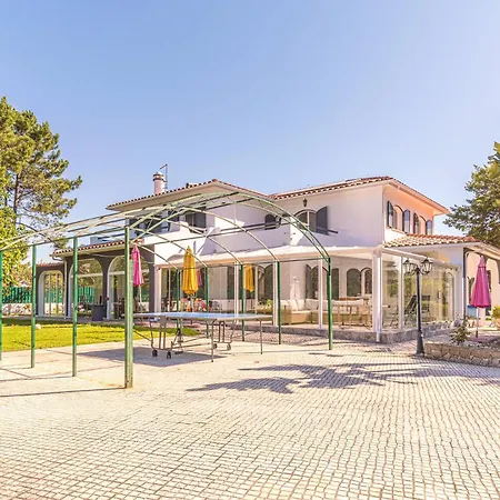 Buganvilia Aroeira (Setubal)